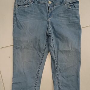 Lane Bryant Capri Womens Size 16